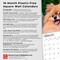 Pomeranians | 2026 12 x 24 Inch (Hanging) Monthly Square Wall Calendar | Plastic-Free